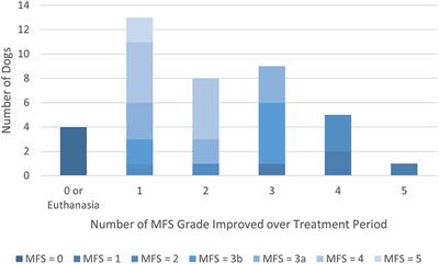 Nonsurgical Rehabilitation in Dachshunds With T3-L3 Myelopathy: Prognosis and Rates of Recurrence